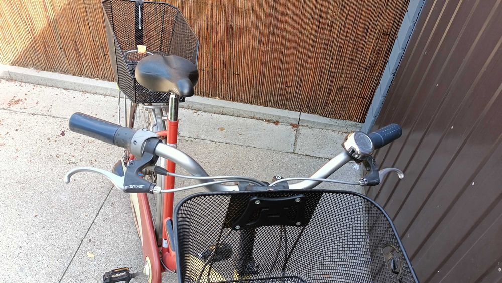 Batavus Rower damski