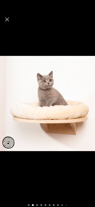 Natural paradise dahlia montowany do sciany element drapaka