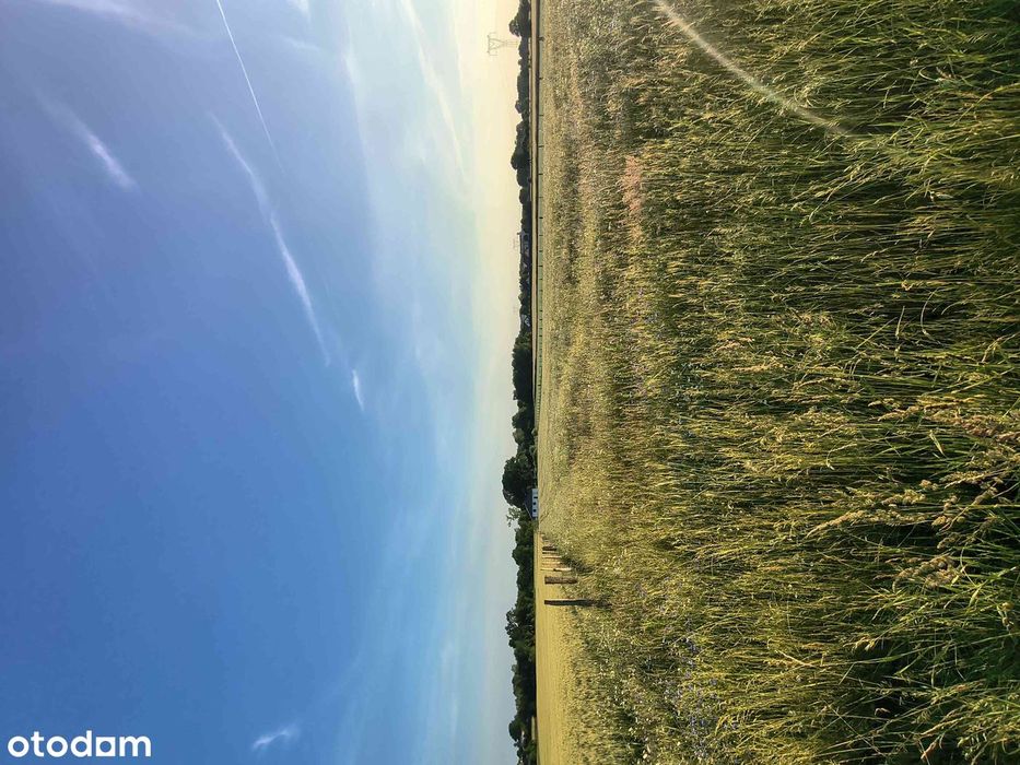 Działki Z Warunkami Zabudowy – 1700 M² ( 17 Arów) – Radowo Małe - View 6
