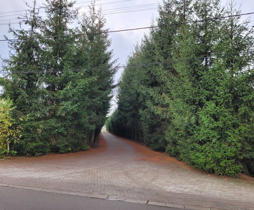 Budynek usługowo-produkcyjny 700m2 z dz niezabudowaną, Borowa, Rzeszów