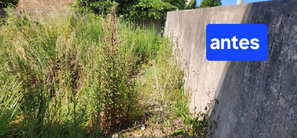 Limpeza de Terrenos e Jardins