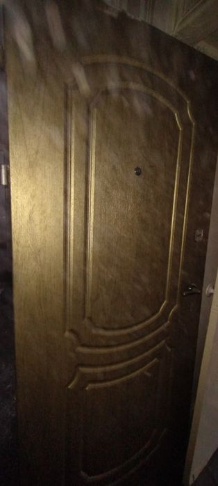 Вхідні двері  ( б/у)