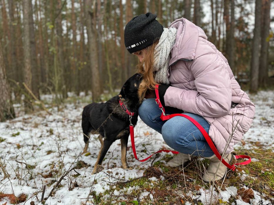 TOSIA - około 2 letnia suczka