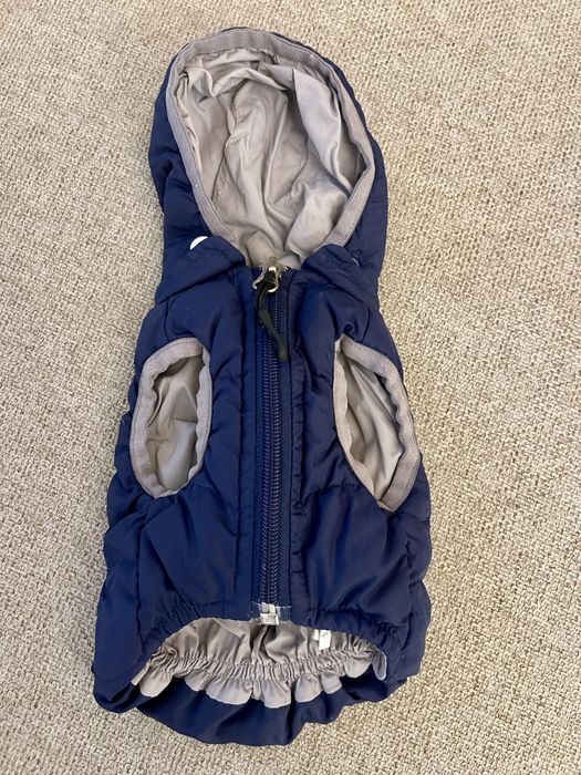 Одежда и аксессуары для собак