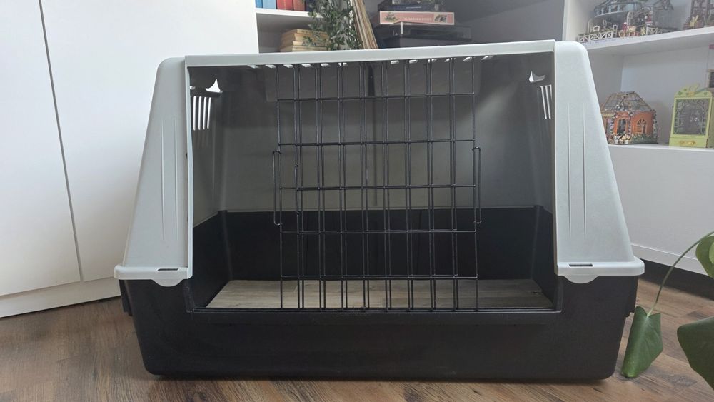 Transporter dla psa