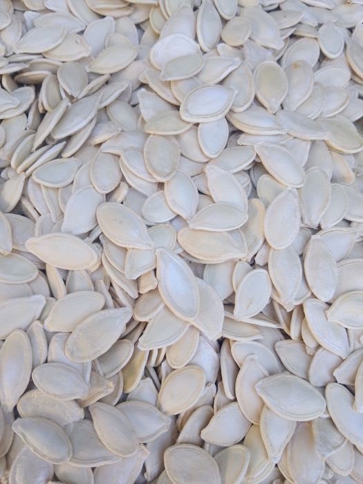 Насіння гарбуза продам !!!