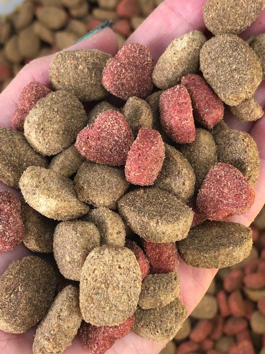 DINO Karma dla psów sucha z wołowiną dla psów dorosłych worek 20kg