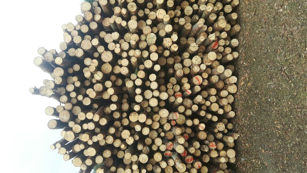 Stemple budowlane SOLIDNE