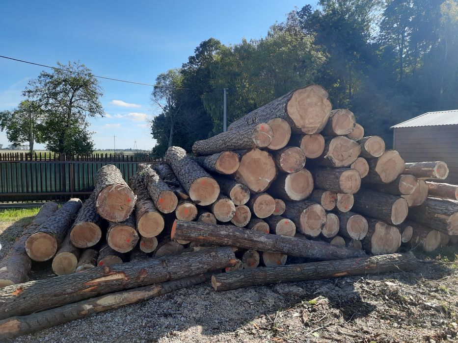 Łaty / belki dł 4m