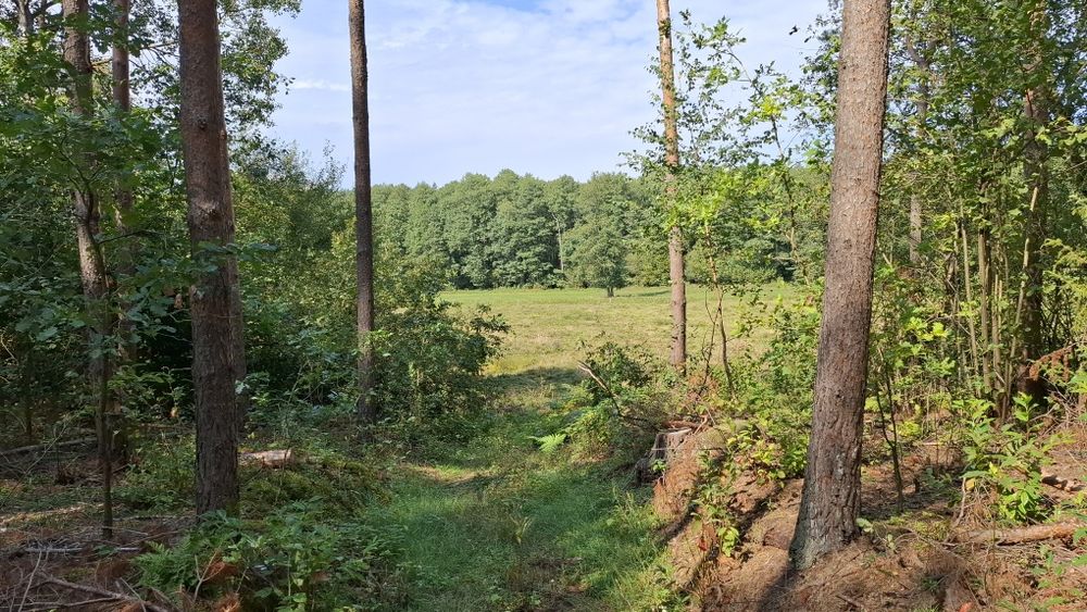 Dzialka 2000m2. Piękne ciche miejsce.