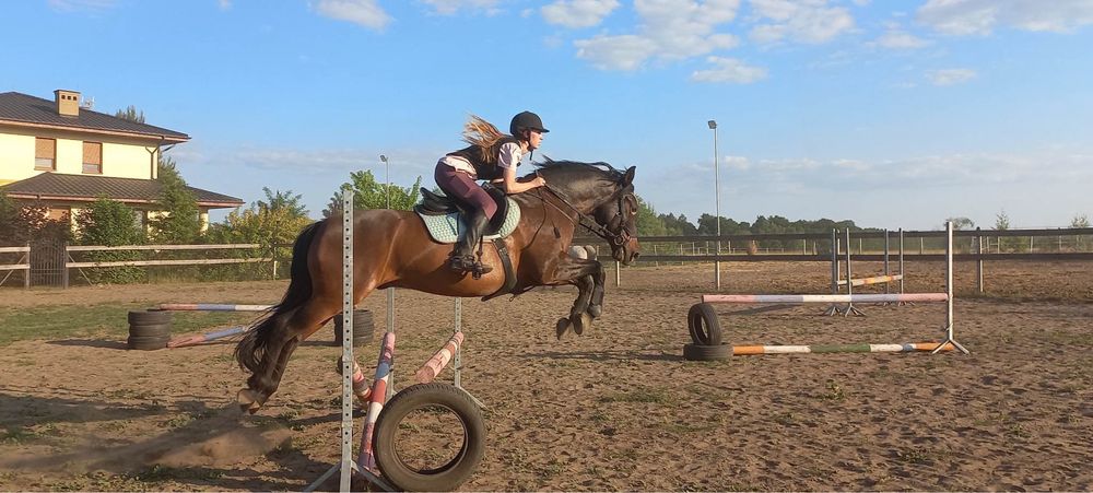 Współdzierżawa wałaszka - PRE