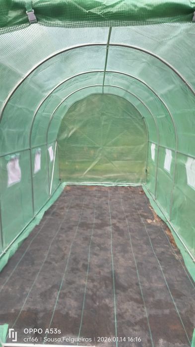 Estufa, hortaliças, plantas