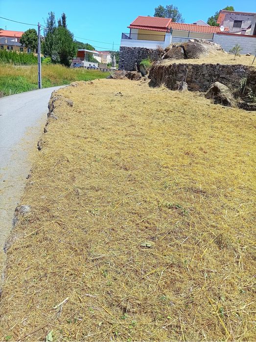 Limpezas de jardins e terrenos