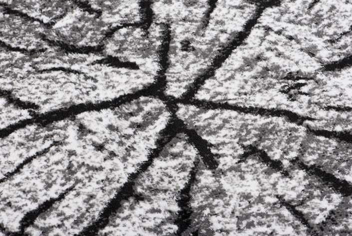 NOWY Dywan do salonu pień drzewa natura efekt 3D LOFT 140x200