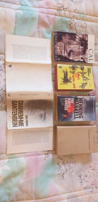 Livros - lote 1 - Português / Inglês / Francês - portes incluidos