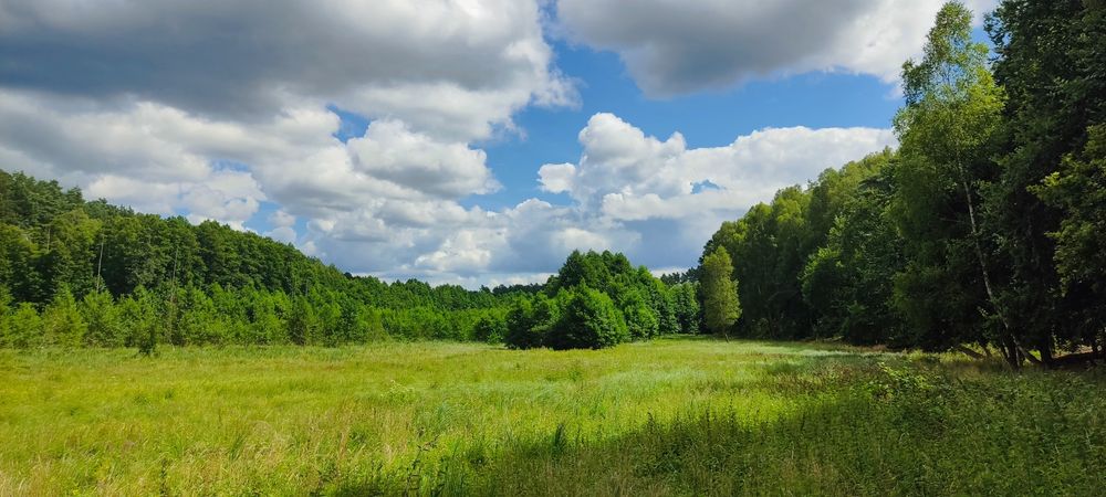 10 ha w malowniczej dolinie
