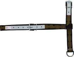 Kantar dla bydła Profi, zielony, z okuciami z ogniwem D