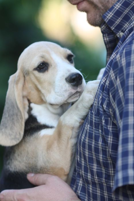 Дівчинка з розплідника