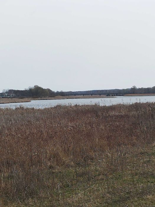 Продаж ділянки в Ворошилівці вихід до Бугу.