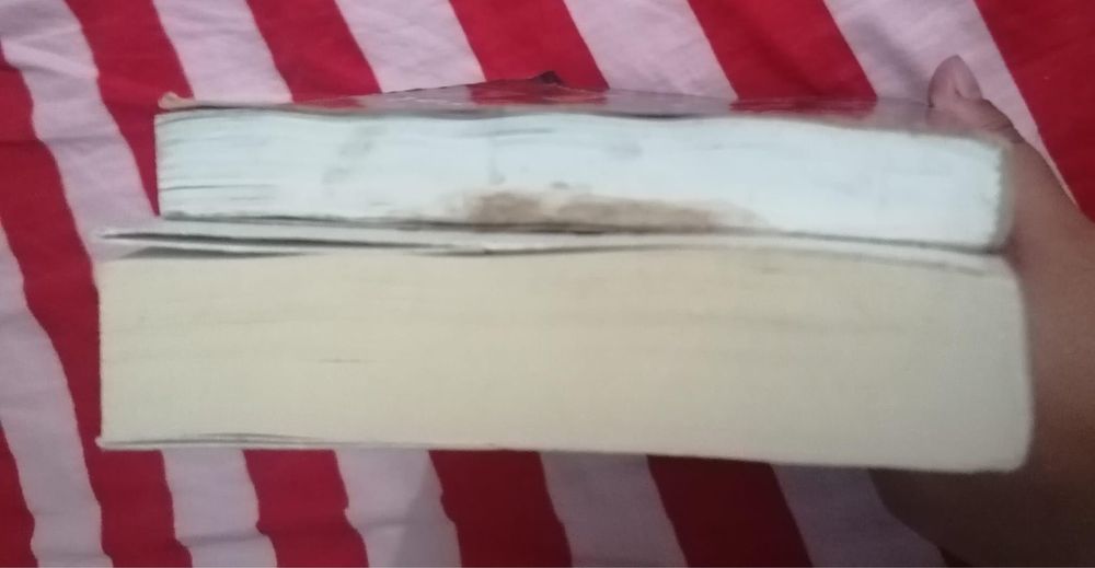 Diario de uma totó e Harry Potter