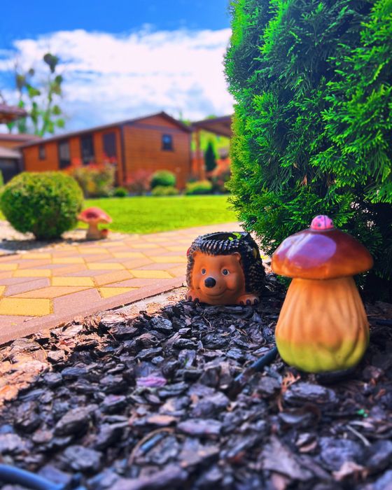 Посуточная аренда дома с сауной на Осокорках. Подобова оренда будинку.