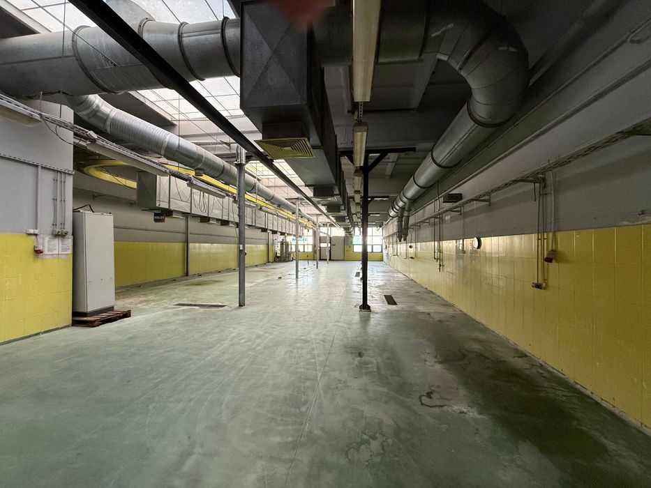 MAGAZYN | HALA | Nieruchomość przemysłowa - sprzedaż / wynajem