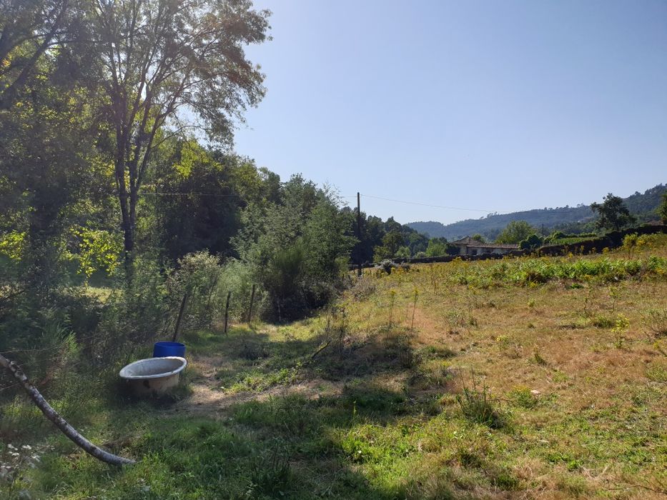 Campo com duas leiras encostado ao afluente do rio Ave