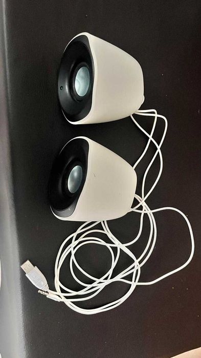 Colunas Logitech Z110