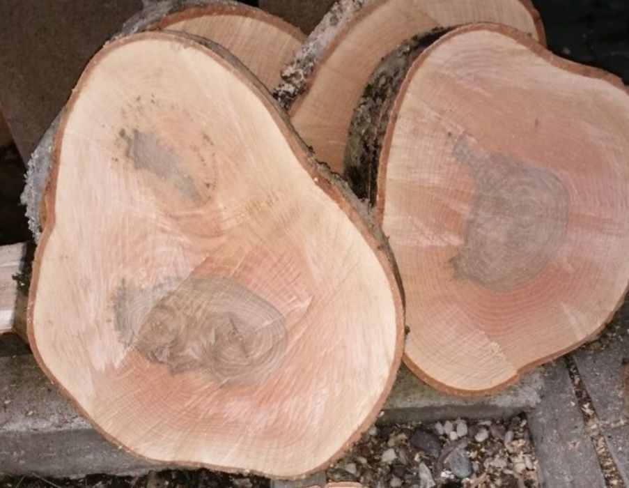 Plastry drewna, dąb, brzoza itp.