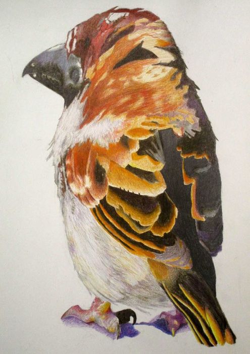 Ilustração profissional - Cientifica, infantil e criativa