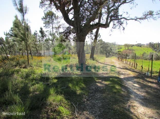 Terreno Para Construção Junto a Coimbra