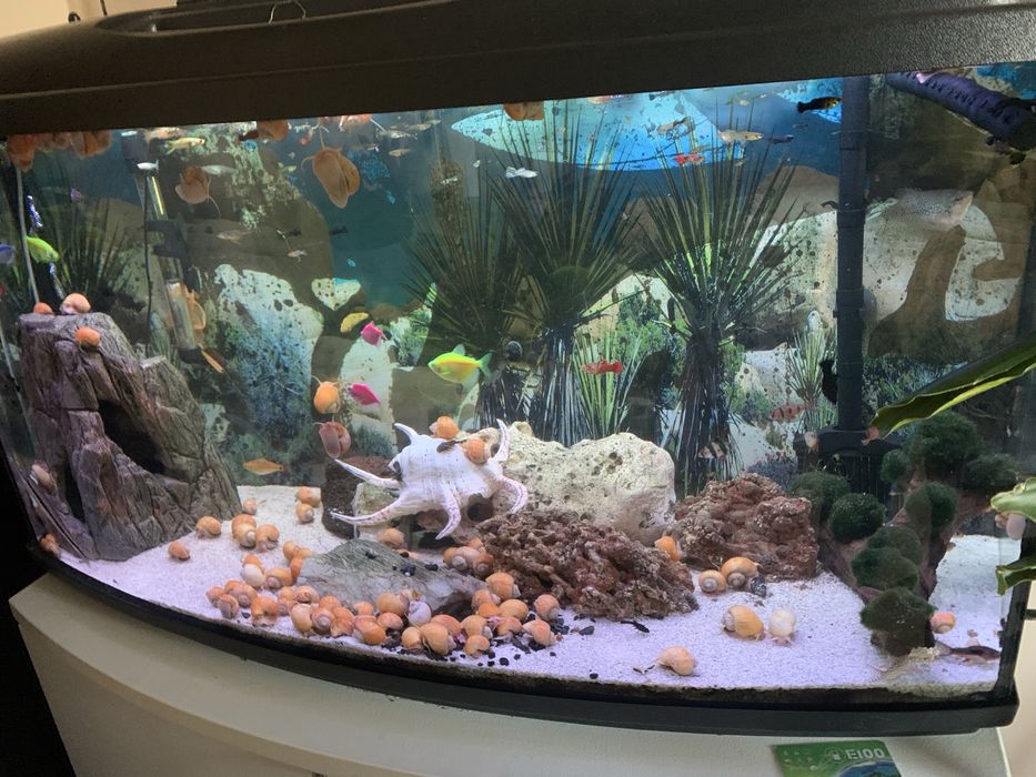 Akwarium 180 l z wyposarzeniem