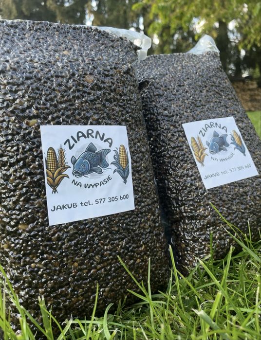 Gotowa Konopia 7kg