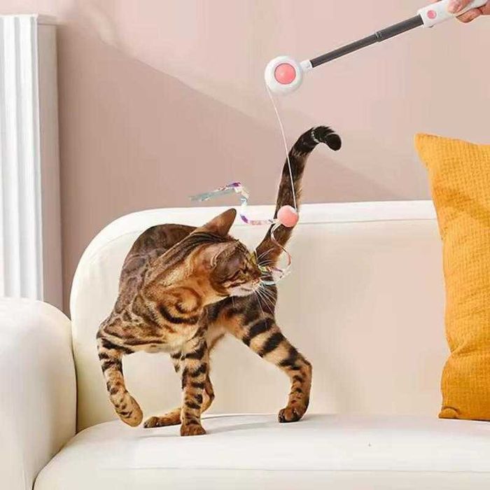 Інтерактивна вудочка з лазером для кота та можливістю регулюв. довжини
