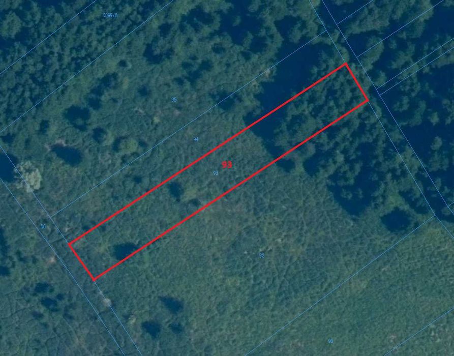 Zalesiona działka - idealna pod ambonę - 16 arów - okolice Sławy