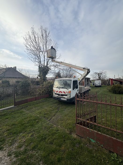 Podnośnik koszowy usługi wynajem