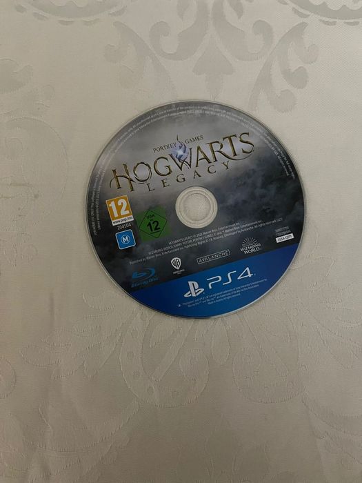 Harry Potter Hogwarts Legacy Harr