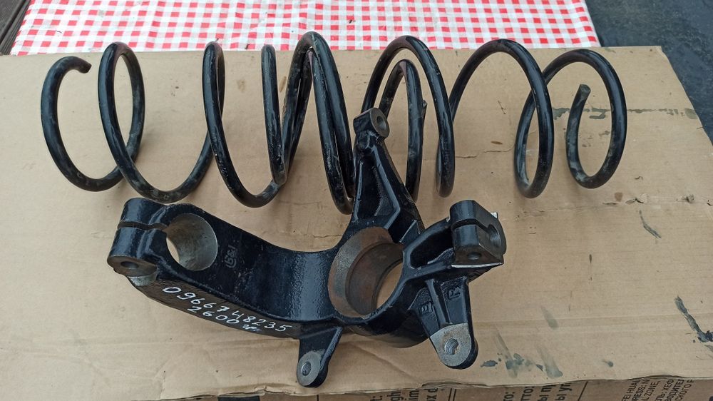 Цапфа до Reno scenik 2