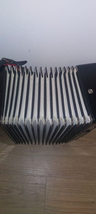 Akordeon weltmeister diana 120