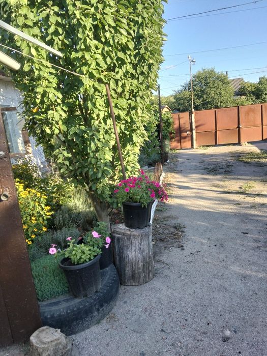 Продам будинок в с.Підгайці