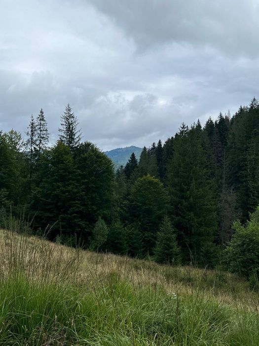 Земля Карпати Микуличин 25 сот біля потічка, будівництво,норм дорога