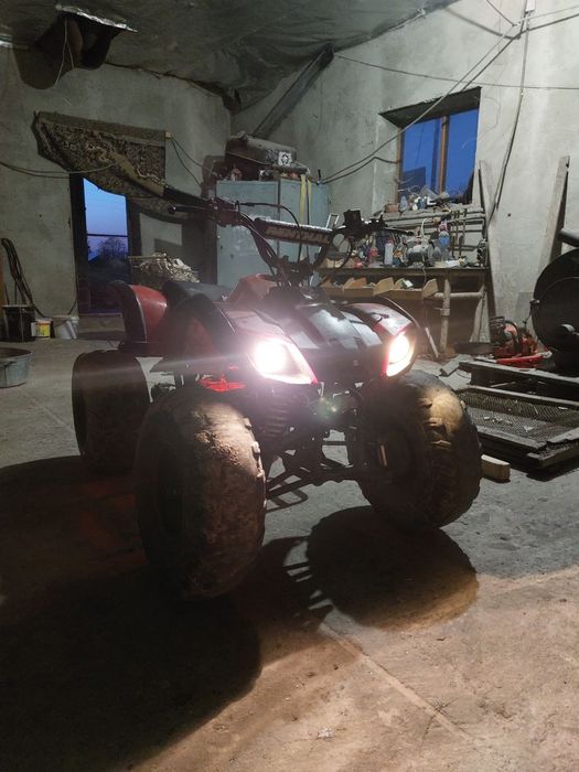 Квадрік 125 ATV сам він проїхав 758 км максимальна швидкість 65 км