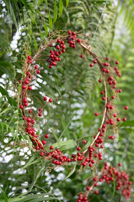 Guirlanda decorativa de Natal - Coroa de Natal com bagas vermelhas