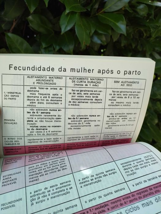 Quando do amor surge a vida (Juliette Pascal)
