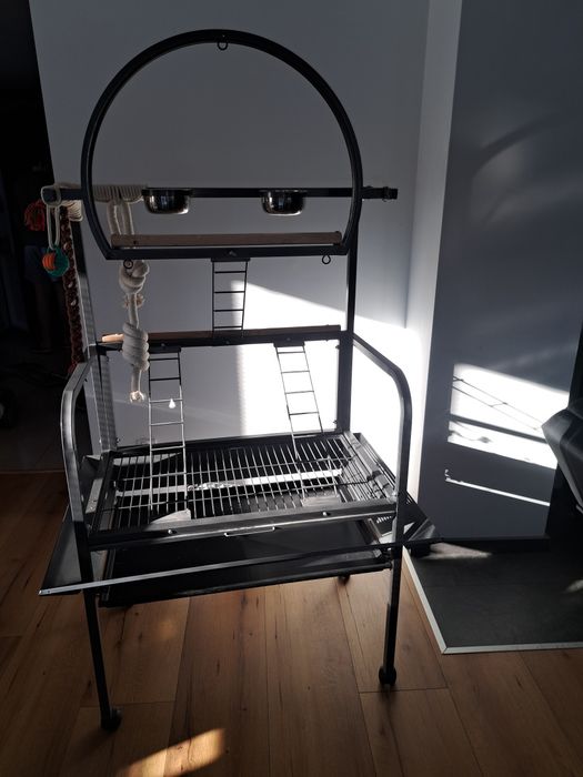 Plac zabaw dla papugi Montana