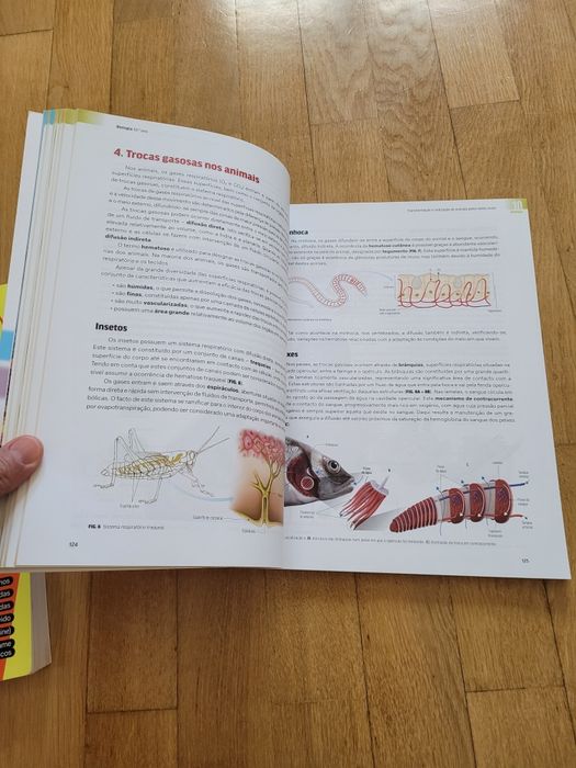 Livros Preparação Exames Nacionais