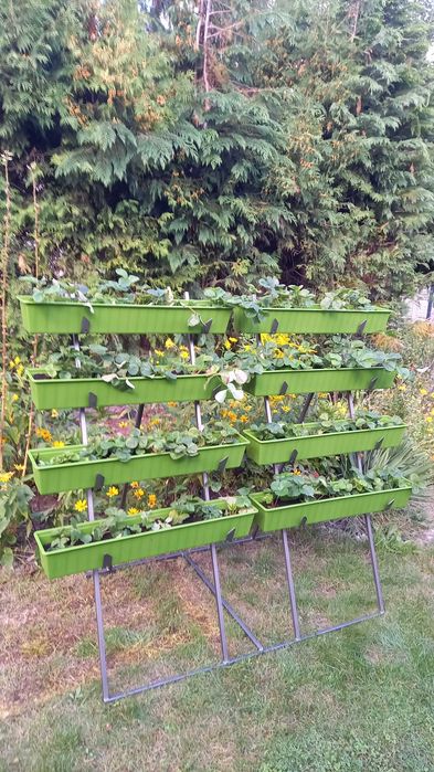 Kwietnik kaskadowy na warzywa kwiaty ogrodowy 8 x 1metr