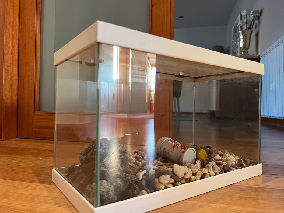 Aquário em vidro ~15L com tampa branca – Bom estado