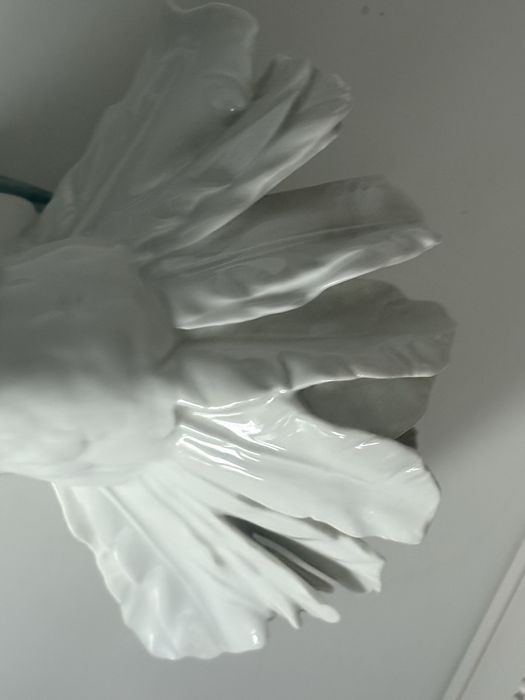 Gołębica Rosenthal