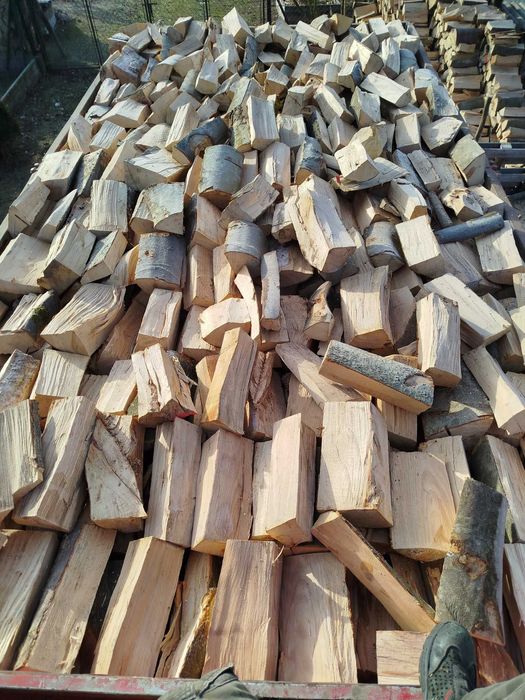 Buk/Grab/Dąb/Olcha/Brzoza/Drewno opałowe